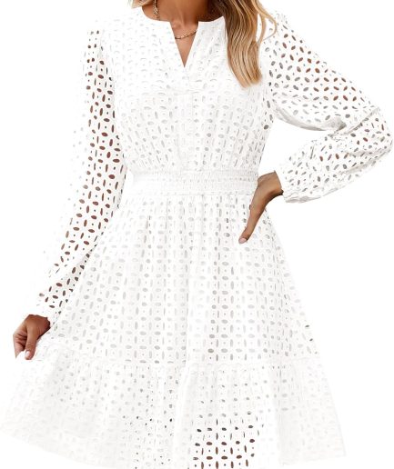 Women's 2026 Long Sleeve Mini Dress Fall V Neck Hollow Out Eyelet Embroidery Ruffle A Line Swing Short Dresses